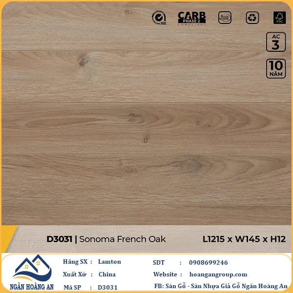 Sàn Gỗ Công Nghiệp Lamton D3031 12mm