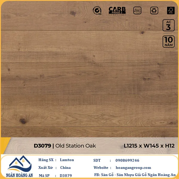 Sàn Gỗ Công Nghiệp Lamton D3079 12mm