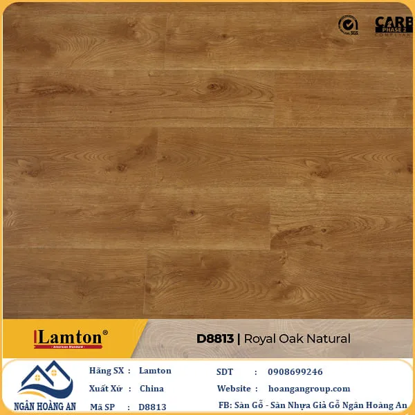 Sàn Gỗ Công Nghiệp Lamton D8813 8mm