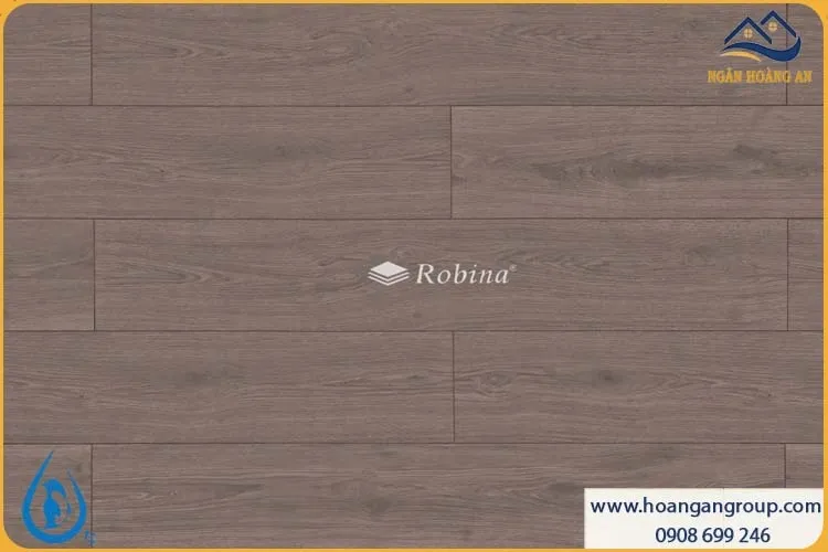 Sàn Gỗ Malaysia Robina Aqua Dày 8mm AQ2767A