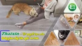 Phân Phối Sàn Gỗ Thái Lan Tại Long Thành, Đồng Nai