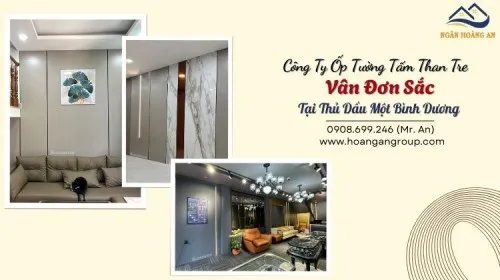 Công Ty Ốp Tường Tấm Than Tre Vân Đơn Sắc Tại Thủ Dầu Một Bình Dương
