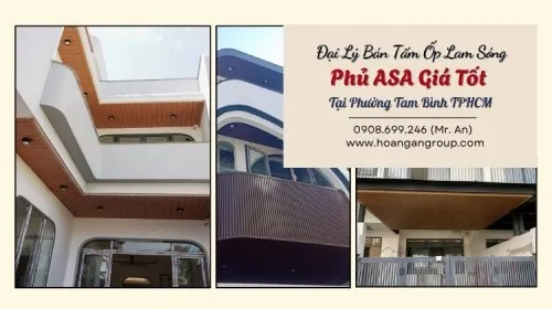 Đại Lý Bán Tấm Ốp Lam Sóng Phủ ASA Giá Tốt Tại Phường Tam Bình TPHCM