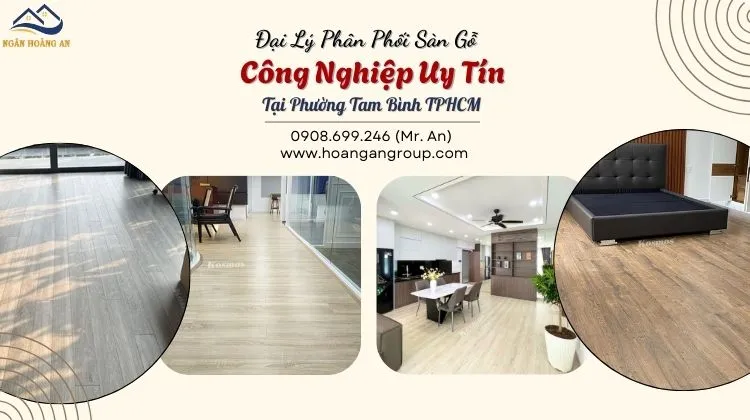 Đại Lý Phân Phối Sàn Gỗ Công Nghiệp Uy Tín Đại Lý Phân Phối Sàn Gỗ Công Nghiệp Uy Tín