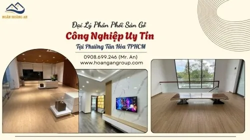 Đại Lý Phân Phối Sàn Gỗ Công Nghiệp Uy Tín Tại Phường Tân Hòa TPHCM