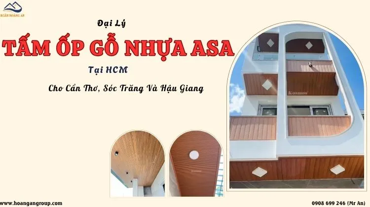 Đại Lý Tấm Ốp Gỗ Nhựa ASA Tại HCM Cho Cần Thơ, Sóc Trăng Và Hậu Giang Đại Lý Tấm Ốp Gỗ Nhựa ASA Tại HCM Cho Cần Thơ, Sóc Trăng Và Hậu Giang
