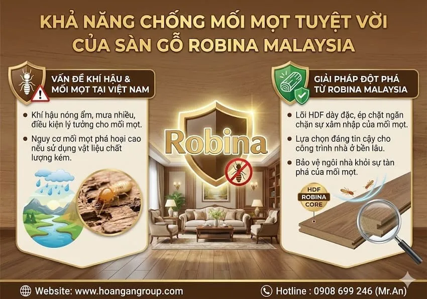Khả Năng Chống Mối Mọt Tuyệt Vời Của Sàn Gỗ Robina Malaysia