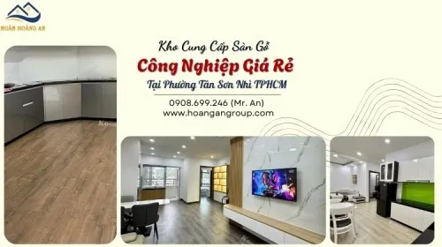 Kho Cung Cấp Sàn Gỗ Công Nghiệp Giá Rẻ Tại Phường Tân Sơn Nhì TPHCM
