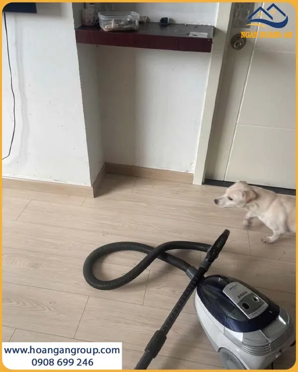 Góc Nhìn Thực Tế Của Sàn Gỗ Egger EL2240 Trong Căn Nhà