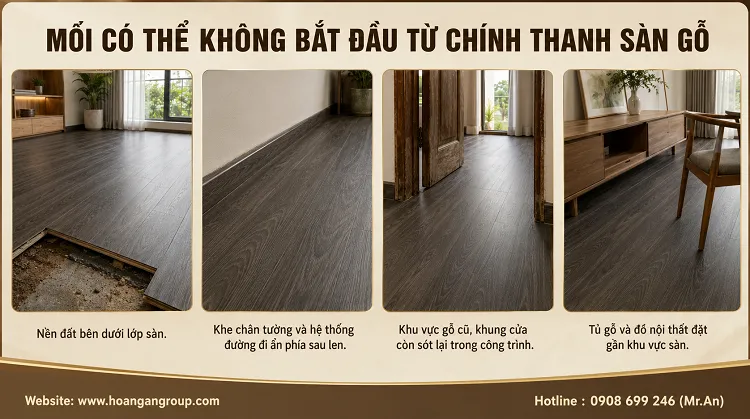 Mối Có Thể Không Bắt Đầu Từ Chính Thanh Sàn Gỗ Mối Có Thể Không Bắt Đầu Từ Chính Thanh Sàn Gỗ