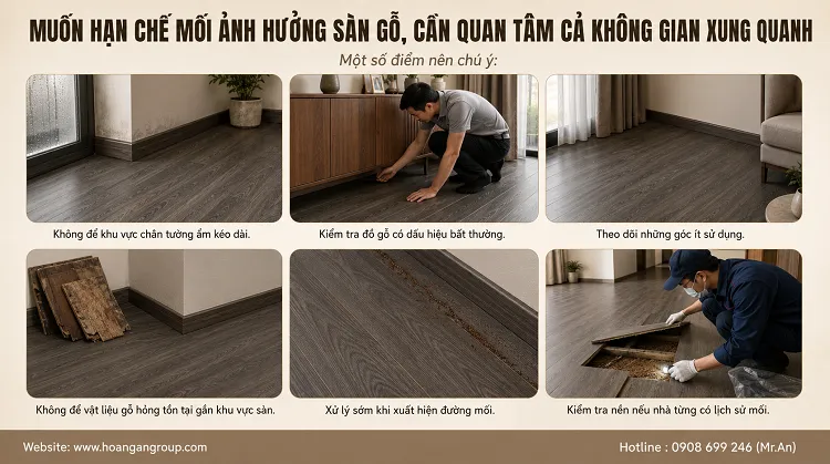 Muốn Hạn Chế Mối Ảnh Hưởng Sàn Gỗ, Cần Quan Tâm Cả Không Gian Xung Quanh Muốn Hạn Chế Mối Ảnh Hưởng Sàn Gỗ, Cần Quan Tâm Cả Không Gian Xung Quanh