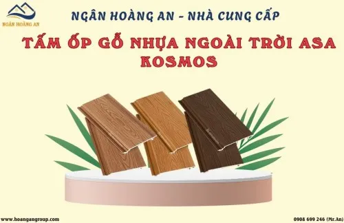 Ngân Hoàng An - Nhà Cung Cấp Tấm Ốp Ngoài Trời Phủ ASA Kosmos Tại TPHCM