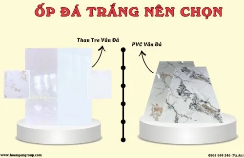 Ốp Đá Trắng Vân Mây Nên Chọn Tấm Ốp Than Tre Vân Đá Hay PVC Giả Đá?