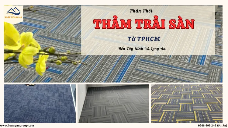 Phân Phối Thảm Trải Sàn Từ TPHCM Đến Tây Ninh Và Long An Phân Phối Thảm Trải Sàn Từ TPHCM Đến Tây Ninh Và Long An