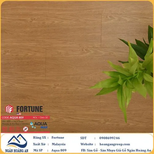 Sàn Gỗ  Công Nghiệp Fortune Aqua 809 Dày 8mm