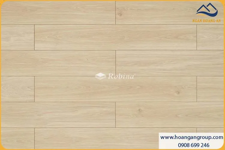 Sàn Gỗ Công Nghiệp Robina 12mm Bản Lớn AB311 Sàn Gỗ Công Nghiệp Robina 12mm Bản Lớn AB311