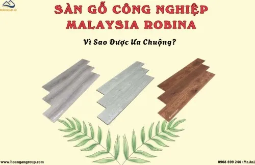 Sàn Gỗ Malaysia Robina Loại Nào Tốt Nhất? Vì Sao Được Ưa Chuộng