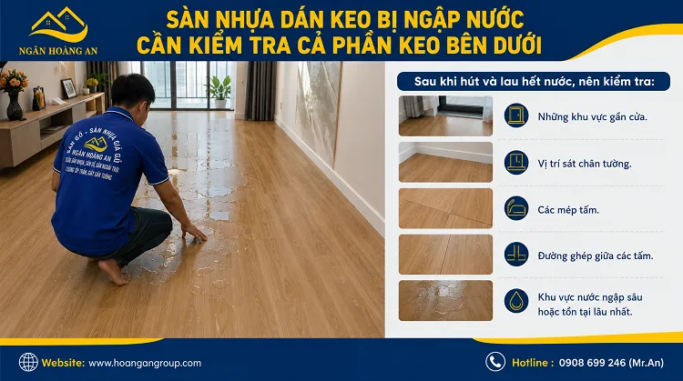 Sàn Nhựa Dán Keo Bị Ngập Nước Cần Kiểm Tra Cả Phần Keo Bên Dưới Sàn Nhựa Dán Keo Bị Ngập Nước Cần Kiểm Tra Cả Phần Keo Bên Dưới