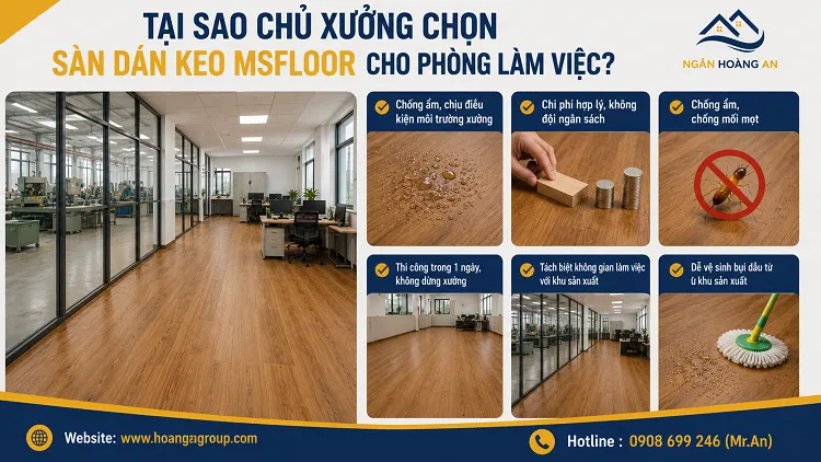 Tại Sao Chủ Xưởng Chọn Sàn Dán Keo MsFloor Cho Phòng Làm Việc?