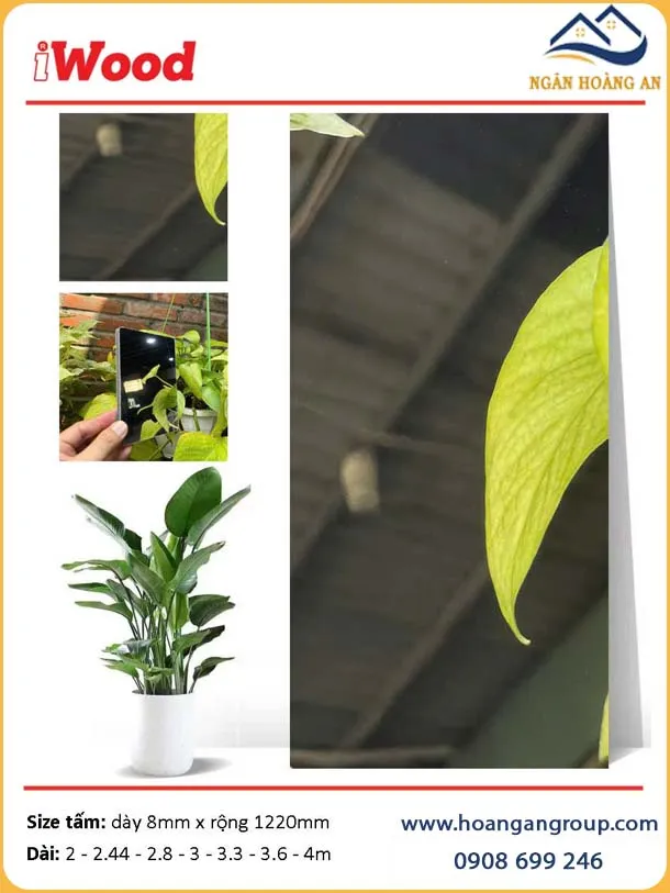 Tấm Than Tre Ốp Tường iWood Film Tráng Gương Bạc