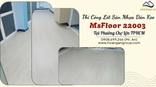 Thi Công Lót Sàn Nhựa Dán Keo MsFloor 22003 Tại Phường Chợ Lớn TPHCM