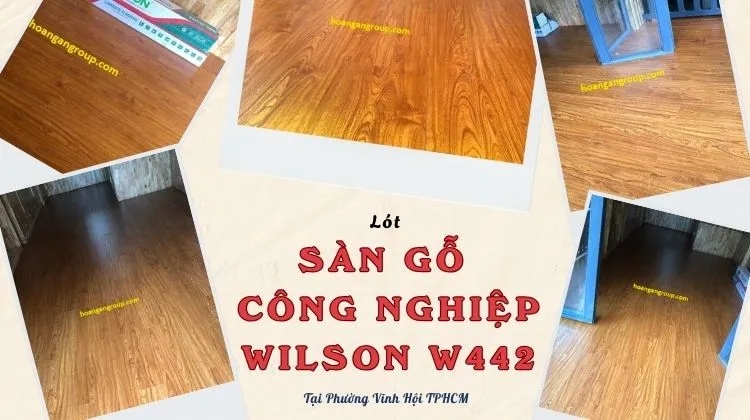 Lót Sàn Gỗ Công Nghiệp Wilson W442 Tại Phường Vĩnh Hội TPHCM Lót Sàn Gỗ Công Nghiệp Wilson W442 Tại Phường Vĩnh Hội TPHCM