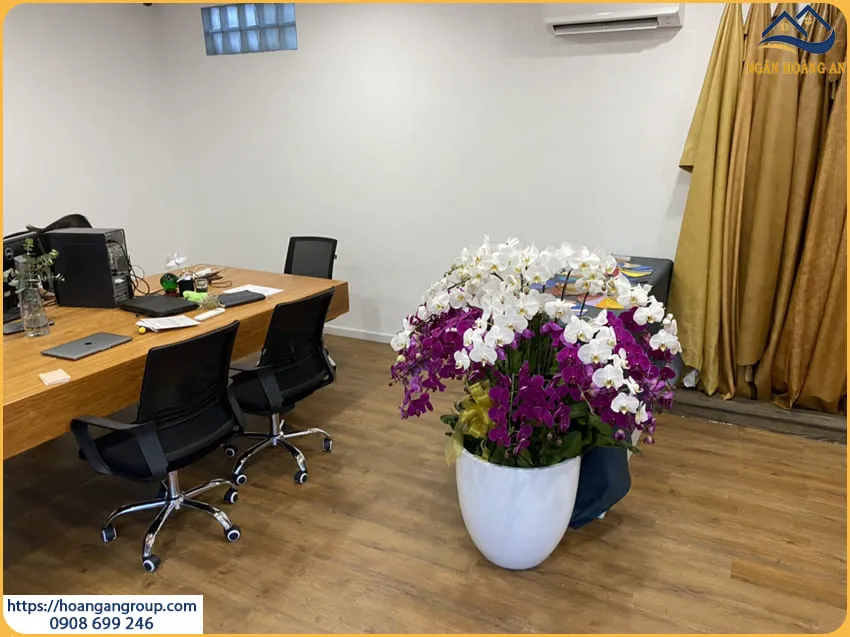Thi Công Sàn Nhựa Giả Gỗ Cho Văn Phòng Tại Quận 11 TPHCM