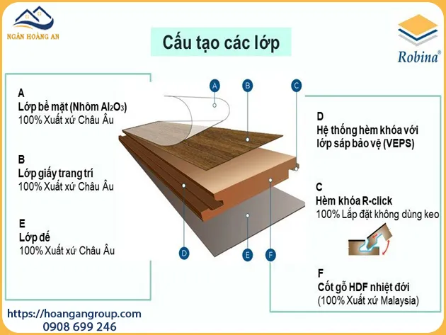 Thành Phần Cấu Tạo Của Sàn Gỗ Công Nghiệp Robina