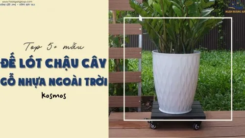 Top 5+ Mẫu Đế Lót Chậu Cây Gỗ Nhựa Ngoài Trời Kosmos Tại TPHCM